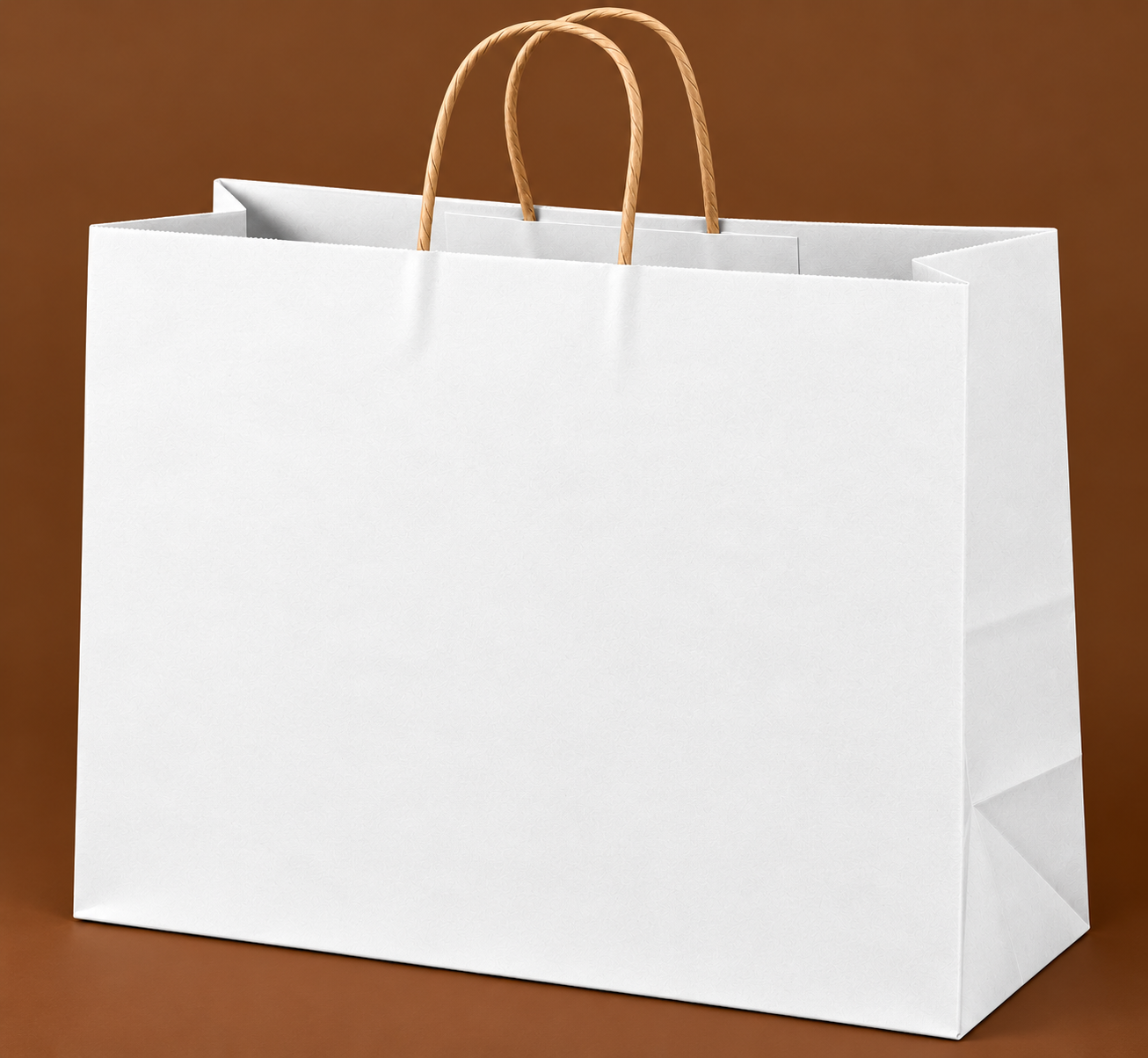 Shoe bag 15H x 11W x 4G