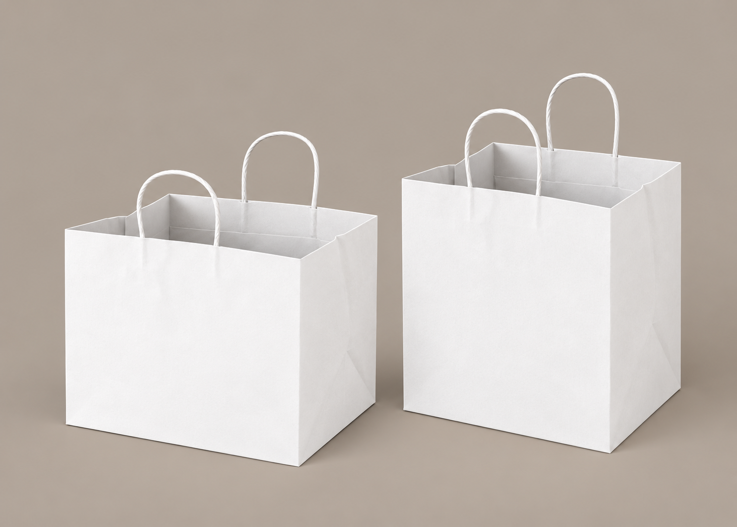 Take away bag 12W X 9H X 5G